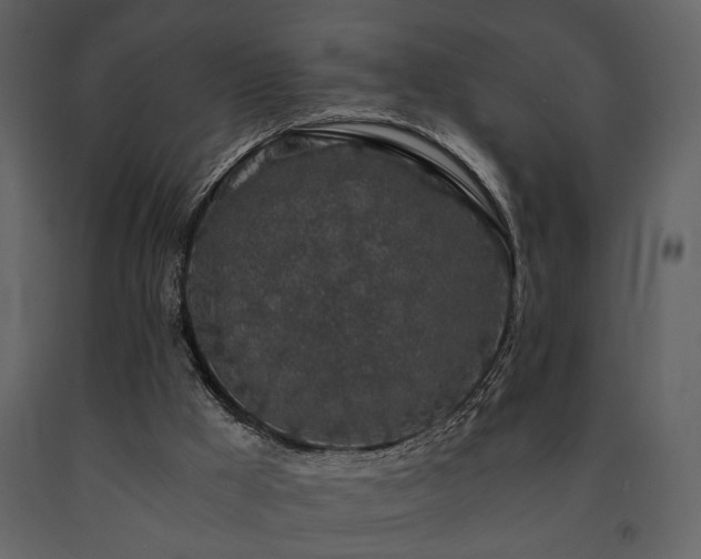 X0000091680009200708231427