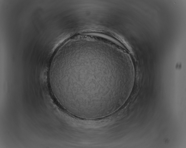 X0000091680010200708231427