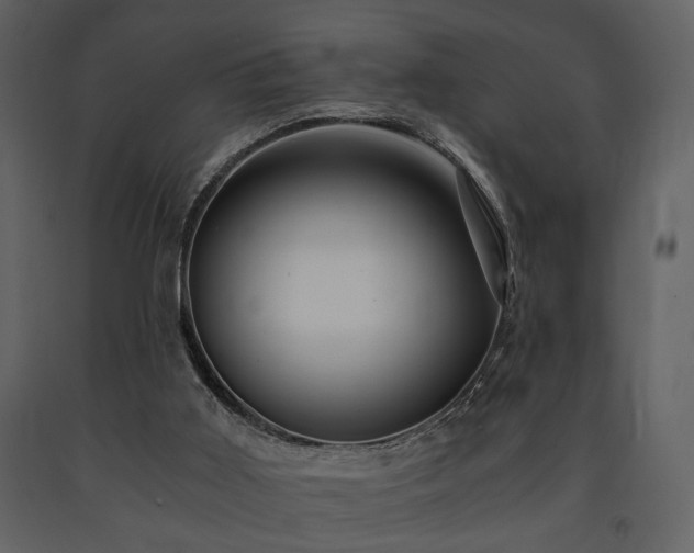 X0000091680011200708231427