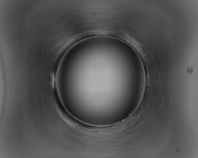 X0000091680013200708231427
