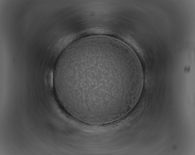 X0000091680014200708231427