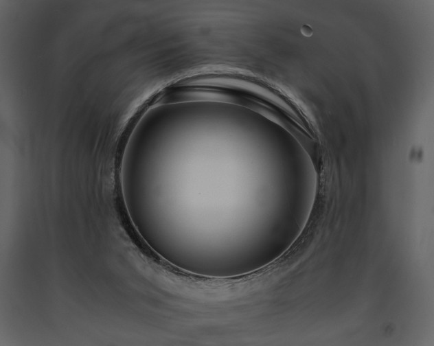 X0000091680015200708231427