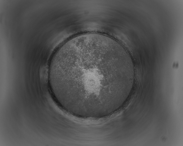 X0000091680016200708231427