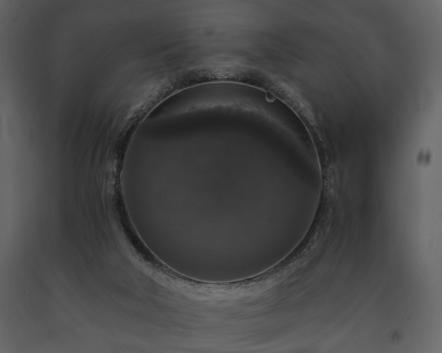 X0000091680018200708231427