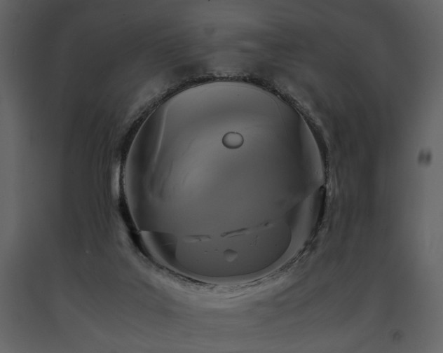 X0000091680019200708231427