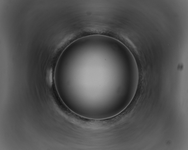 X0000091680020200708231427