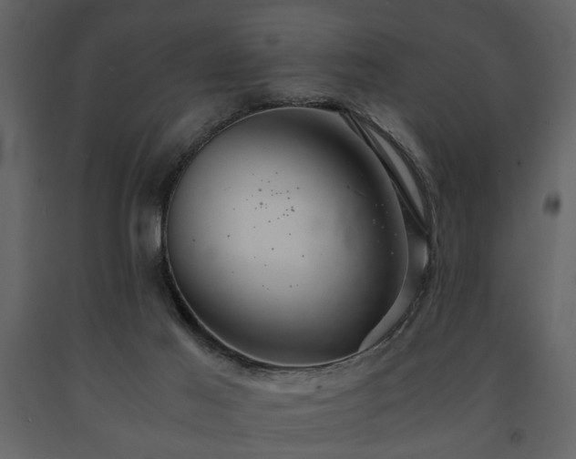 X0000091680021200708231427