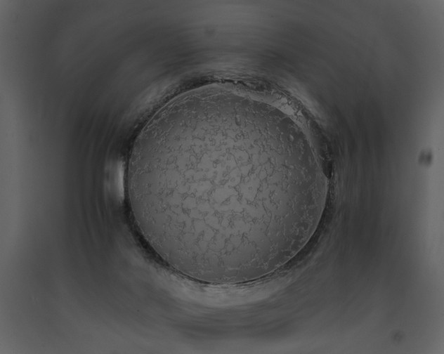 X0000091680022200708231427