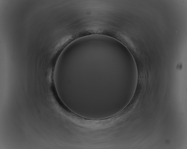 X0000091680023200708231427
