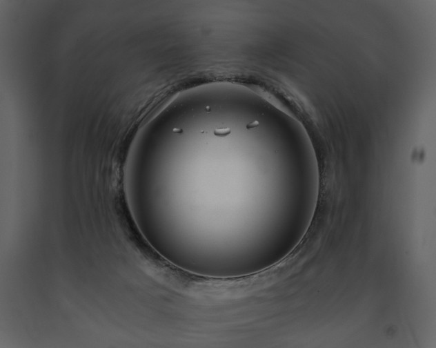 X0000091680025200708231427