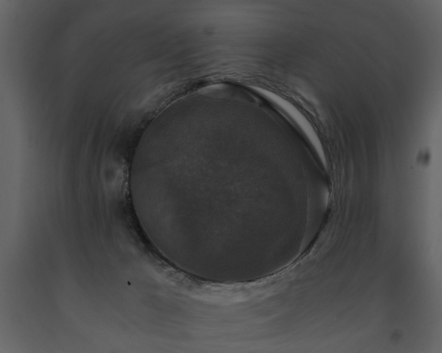 X0000091680029200708231427