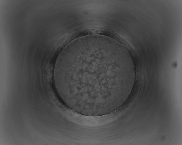 X0000091680030200708231427