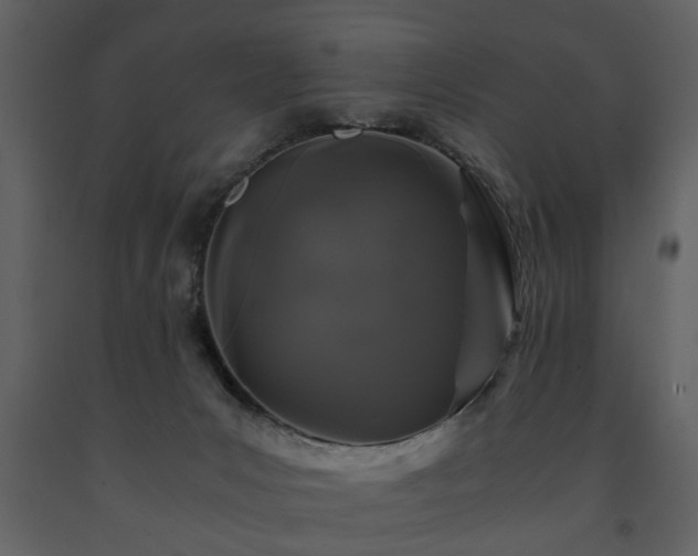 X0000091680031200708231427