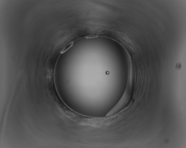 X0000091680033200708231427