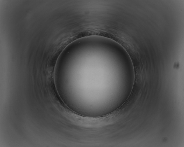 X0000091680034200708231427