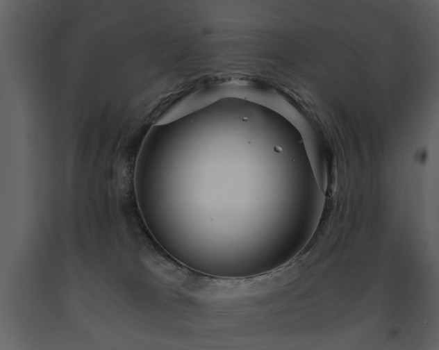 X0000091680037200708231427