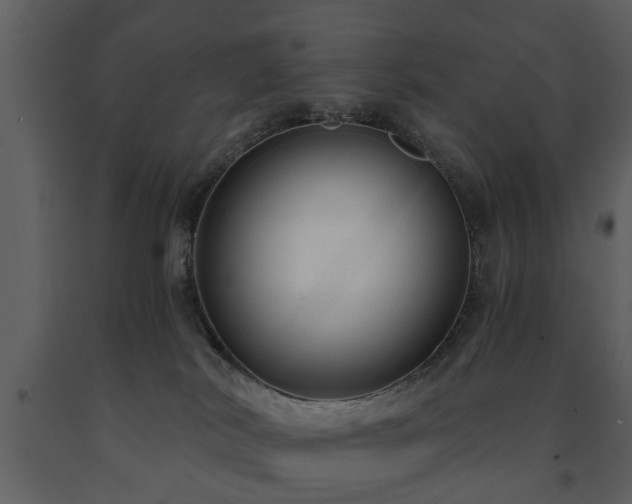 X0000091680038200708231427
