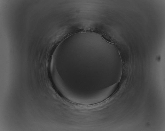 X0000091680039200708231427