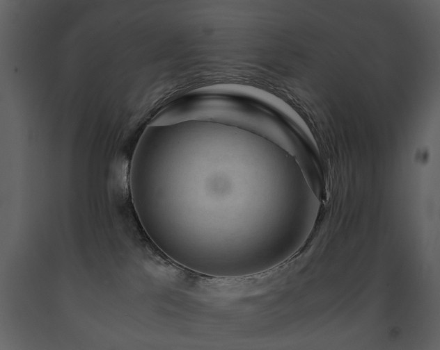 X0000091680041200708231427