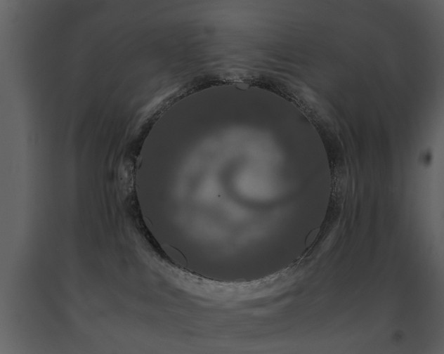 X0000091680043200708231427