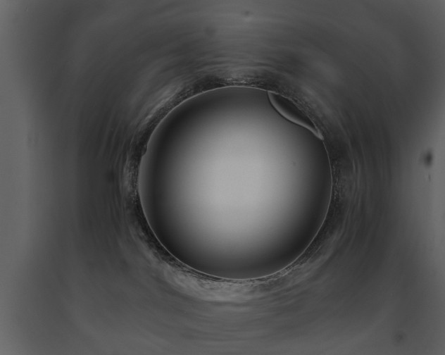 X0000091680044200708231427