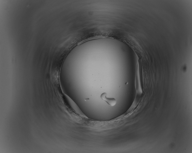 X0000091680045200708231427