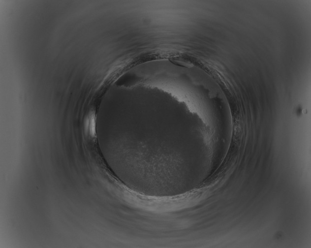 X0000091680046200708231427