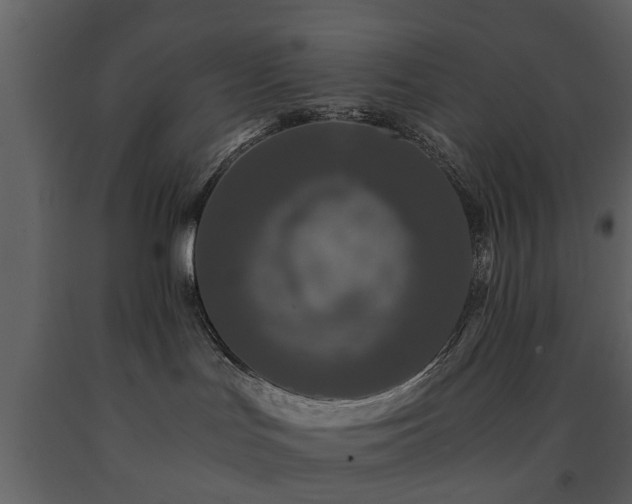 X0000091680047200708231427