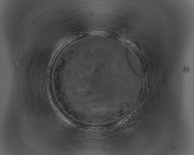 X0000091680049200708231426
