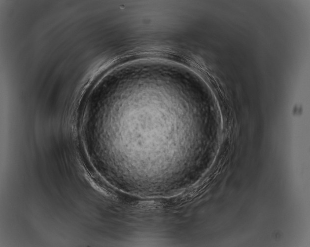X0000091680050200708231426