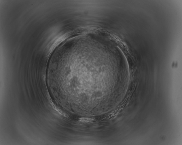 X0000091680051200708231426