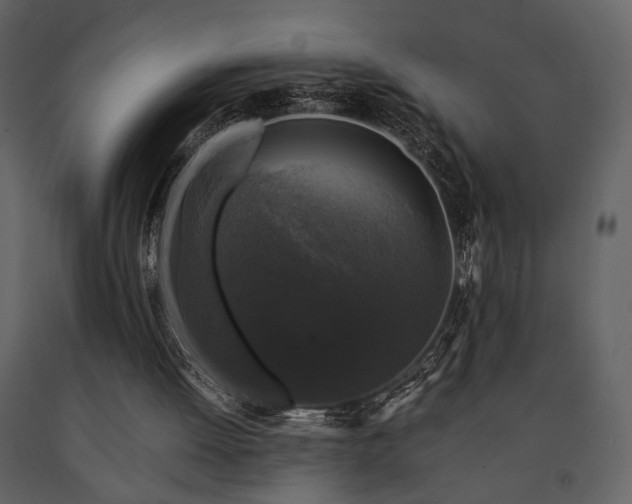 X0000091680052200708231426