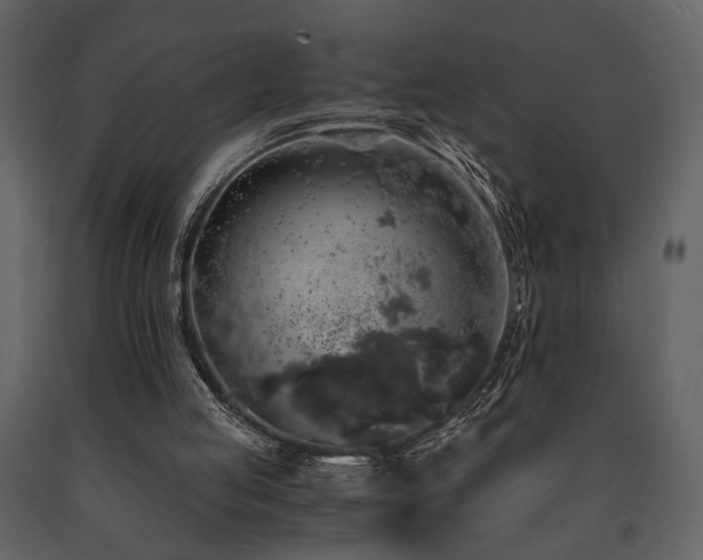 X0000091680053200708231426