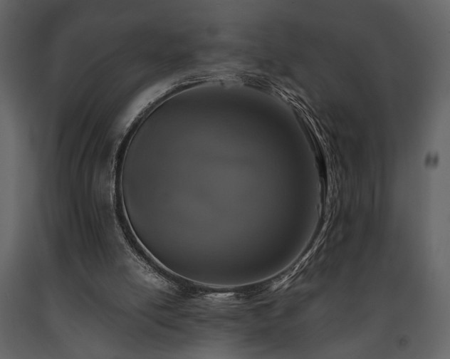 X0000091680054200708231426