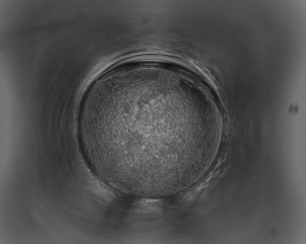 X0000091680055200708231426
