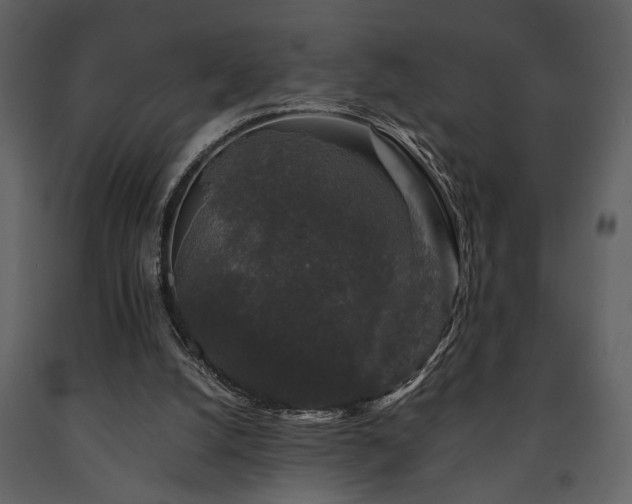X0000091680056200708231426