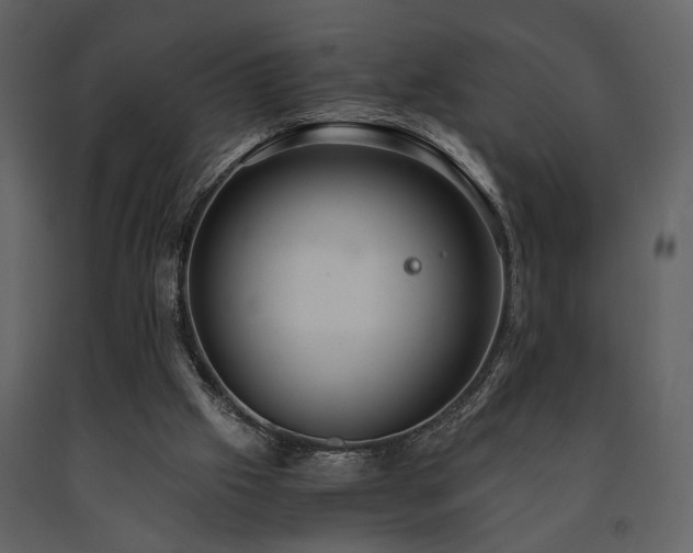 X0000091680057200708231426