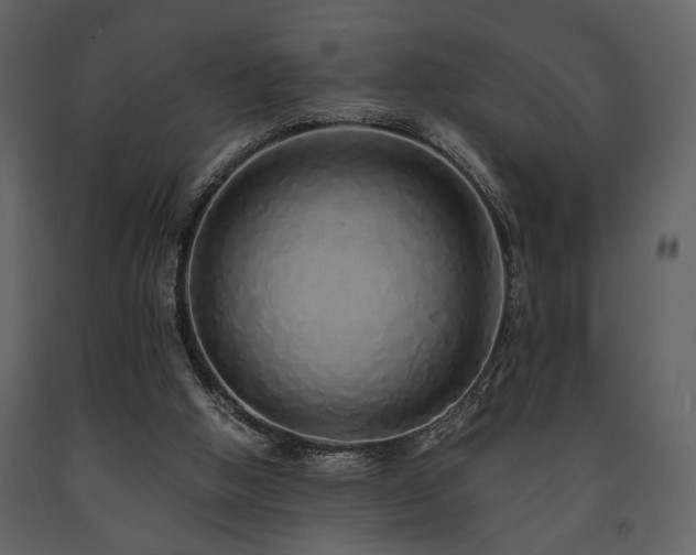 X0000091680058200708231426