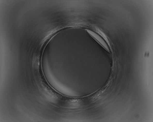 X0000091680059200708231426