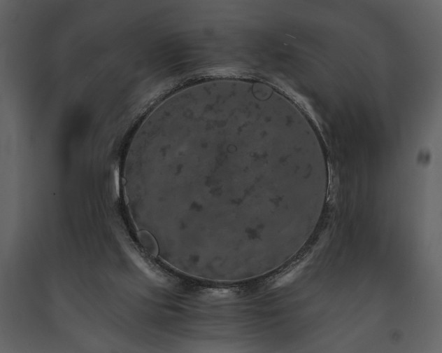 X0000091680061200708231426