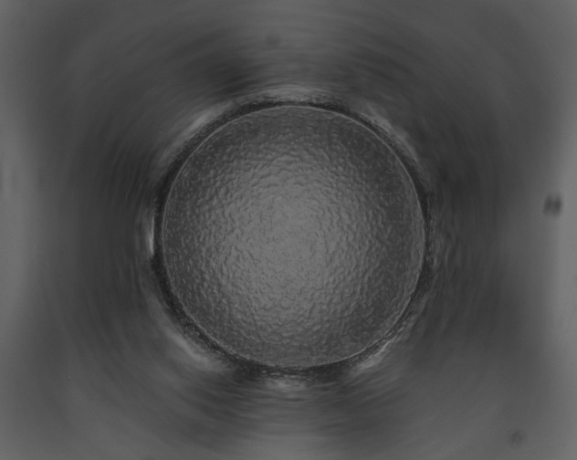 X0000091680062200708231426