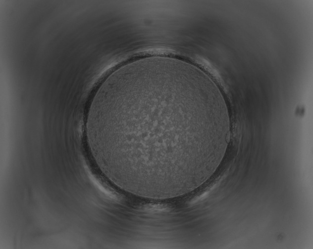 X0000091680063200708231426