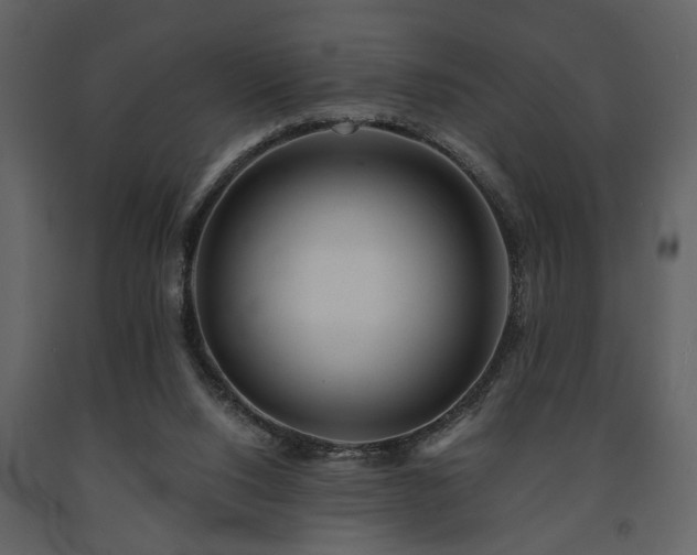 X0000091680064200708231426