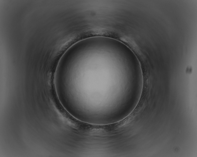 X0000091680066200708231426