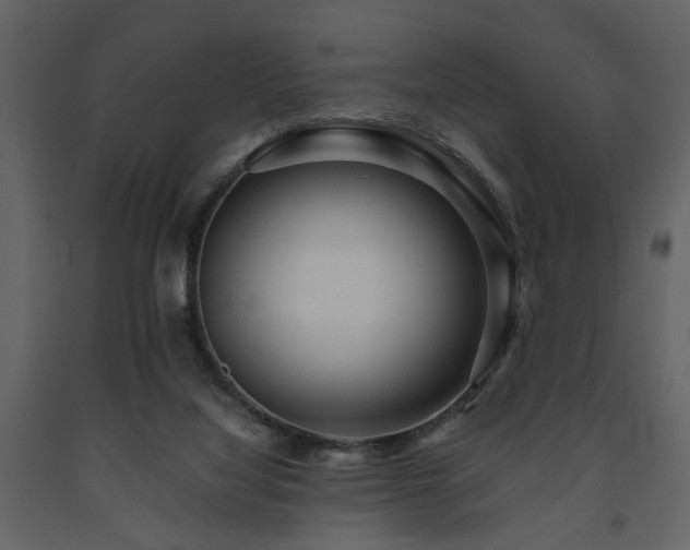 X0000091680068200708231426