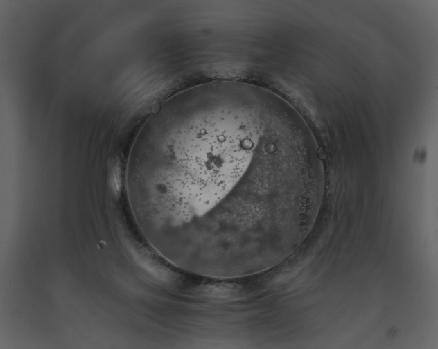 X0000091680069200708231426