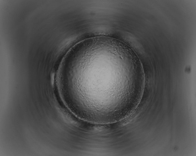 X0000091680070200708231426