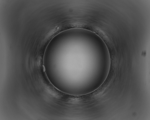 X0000091680071200708231426