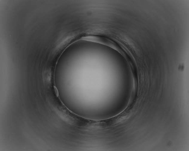 X0000091680072200708231426