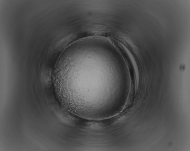 X0000091680073200708231426